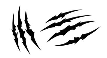 claws and claws with a white background vector