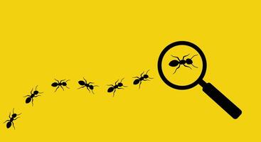 ants are walking around a magnifying glass on a yellow background vector