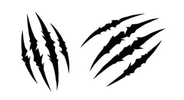 claws and claws on a white background vector