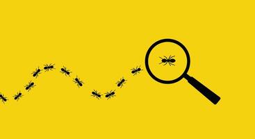 an illustration of ants and a magnifying glass vector