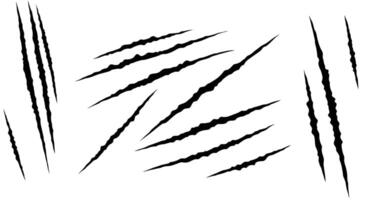 set of claws and claws on a white background vector