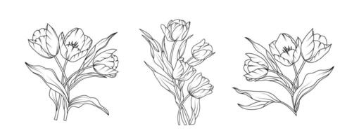Tulip flower arrangement line art on white background. Silhouette tulip botanical hand drawn element for wedding, invitation frame design illustration vector