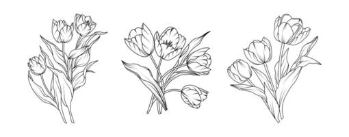 Tulip flower arrangement line art white background. Silhouette tulip botanical hand drawn element for wedding, invitation frame design, illustration vector