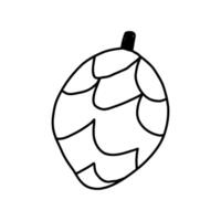 Cute pine cone in hand drawn doodle style, illustration isolated on white background. Nature design element in outline. vector