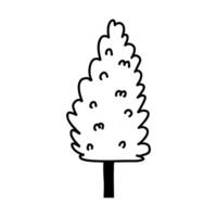 Hand drawn evergreen tree in monochrome doodle style, illustration isolated on white background. Cute Christmas tree in outline. vector