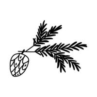 Hand drawn pine cone with branch in cute doodle style, illustration isolated on white background. Winter botany and Christmas decor design element. vector