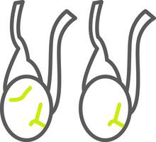 Testicles Polished Interface Symbol vector