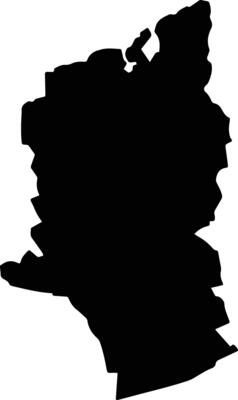 NAENI Romania silhouette map
