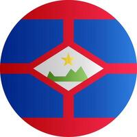 Flag of Sint Eustatius Glyph vector