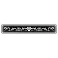 Elegant Coastal Border Shells, Waves Coral. vector