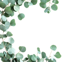 Eucalyptus Leaves Frame PNG Against Transparent Background for Greenery Border, Botanical Design, or Nature-Inspired Artwork