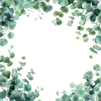 Eucalyptus Leaves Frame PNG Against Transparent Background for Greenery Border, Botanical Design, or Nature-Inspired Artwork
