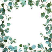 Eucalyptus Leaves Frame PNG Against Transparent Background for Greenery Border, Botanical Design, or Nature-Inspired Artwork