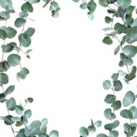 Eucalyptus Leaves Frame PNG Against Transparent Background for Greenery Border, Botanical Design, or Nature-Inspired Artwork