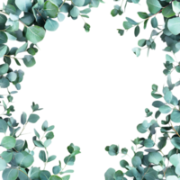 Eucalyptus Leaves Frame PNG Against Transparent Background for Greenery Border, Botanical Design, or Nature-Inspired Artwork