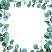 Eucalyptus Leaves Frame PNG Against Transparent Background for Greenery Border, Botanical Design, or Nature-Inspired Artwork