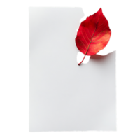 PNG White Paper with Red Leaves and a Red Leaf on It Against Transparent Background for Elegant Design Projects