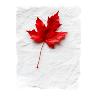PNG White Paper with Red Leaves and a Red Leaf on It Against Transparent Background for Elegant Design Projects