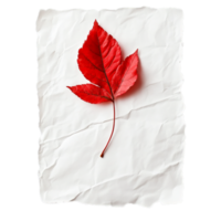 PNG White Paper with Red Leaves and a Red Leaf on It Against Transparent Background for Elegant Design Projects