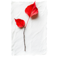 PNG White Paper with Red Leaves and a Red Leaf on It Against Transparent Background for Elegant Design Projects