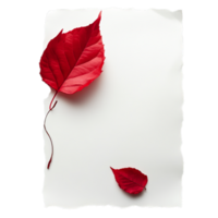 PNG White Paper with Red Leaves and a Red Leaf on It Against Transparent Background for Elegant Design Projects