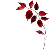PNG White Paper with Red Leaves and a Red Leaf on It Against Transparent Background for Elegant Design Projects