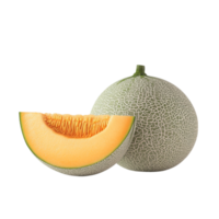 Cantaloupe Side View Full Length 3D Rendering Against White Background png