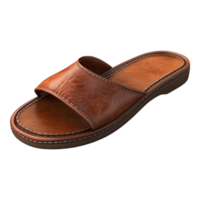Slipper with a Shoe Image Isolated Against transparent Background png