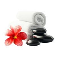 Spa Stones, Fresh Flower, and Towel 3D Rendering Against transparent Background png