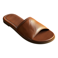 Slipper with a Shoe Image Isolated Against transparent Background png