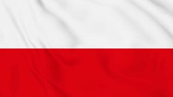 The flag of poland is waving in the wind video
