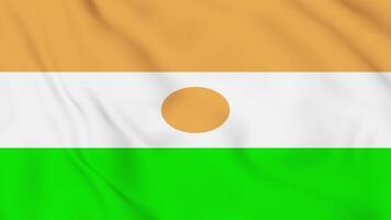 The flag of niger is shown in this image video