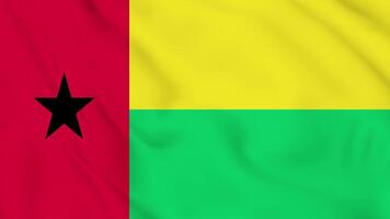 The flag of guinea is waving in the wind video