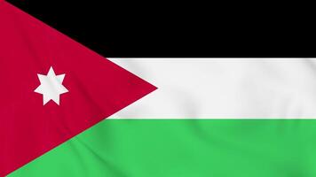 The flag of jordan is waving in the wind video