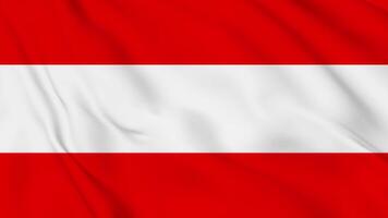 The flag of austria is shown in this image. video