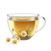 PNG Aromatic Chamomile Tea in a Glass Cup Against Transparent Background for Beverage Designs, Relaxation Themes, or Organic Illustrations