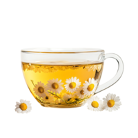 PNG Aromatic Chamomile Tea in a Glass Cup Against Transparent Background for Beverage Designs, Relaxation Themes, or Organic Illustrations