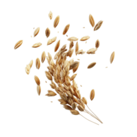 Floating Peeled Ripe Wheat Seed 3D Rendering Against White Background png