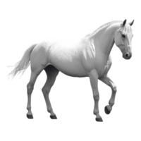 Rearing Horse Isolated Against Transparent Background png