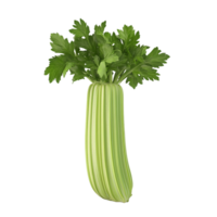 Celery on a transparent background png