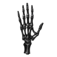 Skeleton Hand for Halloween - Vector Linear Black 3D Rendering png