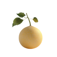 Cantaloupe Side View Full Length 3D Rendering Against White Background png