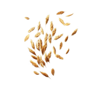 Floating Peeled Ripe Wheat Seed 3D Rendering Against White Background png