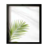 PNG Elegant Black Frame Mockup with Palm Leaf Shadow Against Transparent Background for Minimalistic Branding, Art Display, or Creative Projects