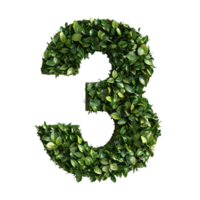 image of a unique number 3 made of leaves and trees on a transparent background png