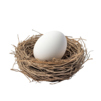 Bird Nest with an Egg on transparent background png