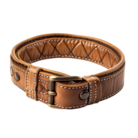 Dog Collar on transparent background png