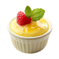 Custard Pudding on transparent background png