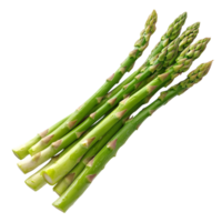 Deep Green Asparagus on transparent background png