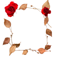Aesthetic Boho Frame with Red Rose and Dry Leaves Isolated Against transparent background png